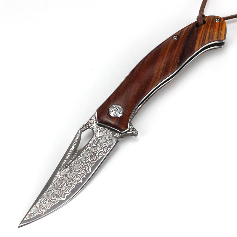 Caibei Dalbergia Wood Handle Damascus Steel Folding Knife