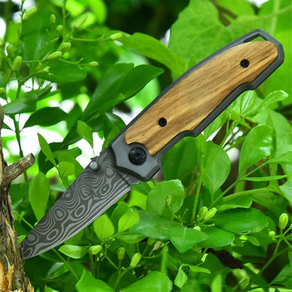 Outdoor Small Folding Knife Forging Steel Camping Fruit Knife