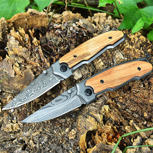 Outdoor Small Folding Knife Forging Steel Camping Fruit Knife