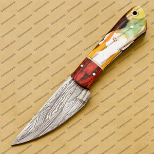 Customize Custom Hand Made Forged Hunter Knife Damascus Steel Bowie Knife Handle Dia Bone with Leather Sheath Free Key Chain Gift