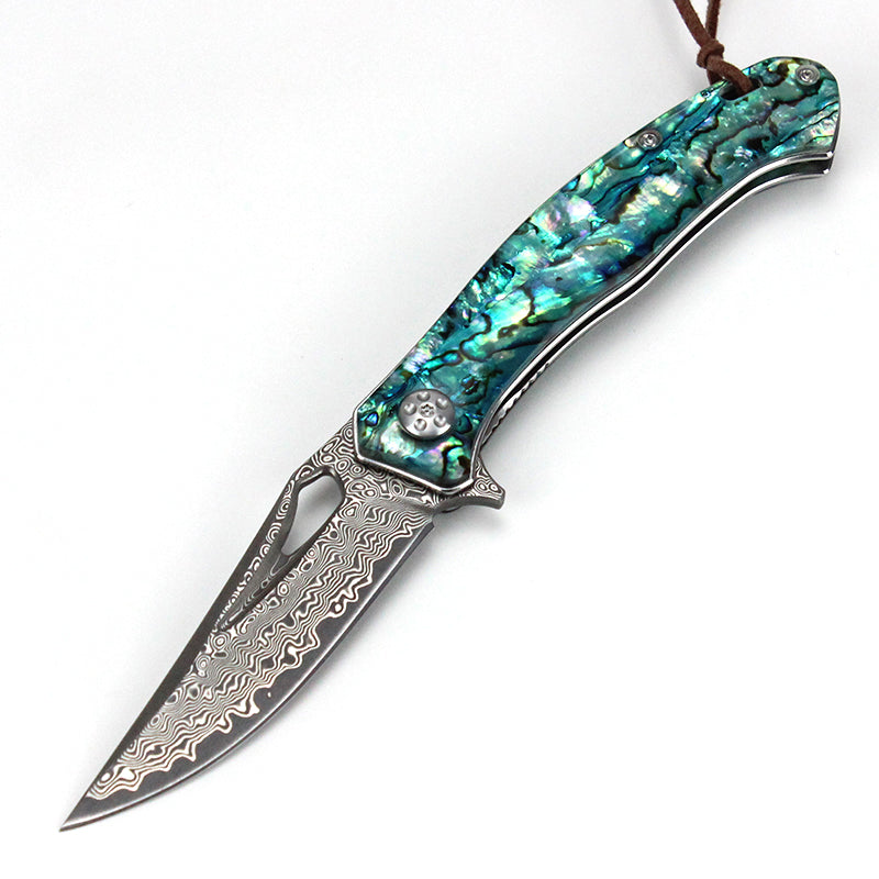 Caibei Dalbergia Wood Handle Damascus Steel Folding Knife